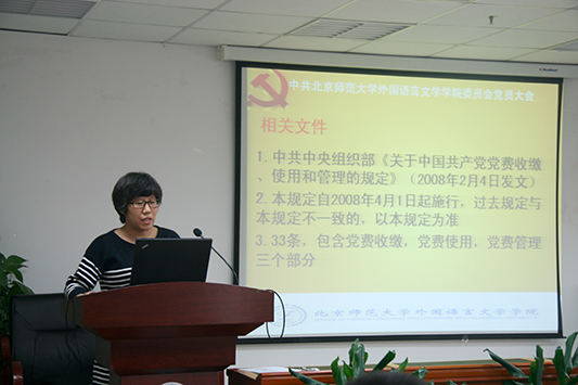 张新颖做党费使用报告